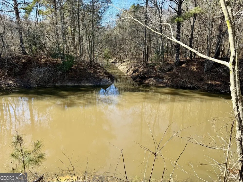 0 Jenkins Farm RD Byromville, GA 31007