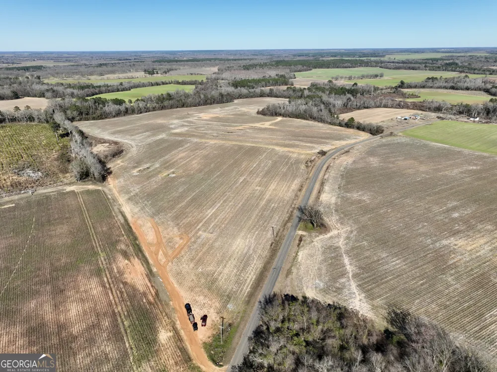 0 Jenkins Farm RD Byromville, GA 31007
