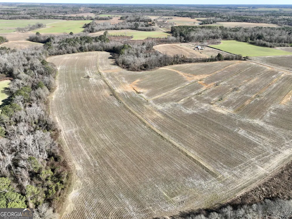 0 Jenkins Farm RD Byromville, GA 31007