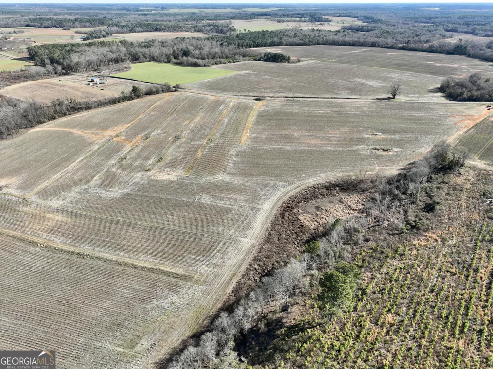 0 Jenkins Farm RD Byromville, GA 31007