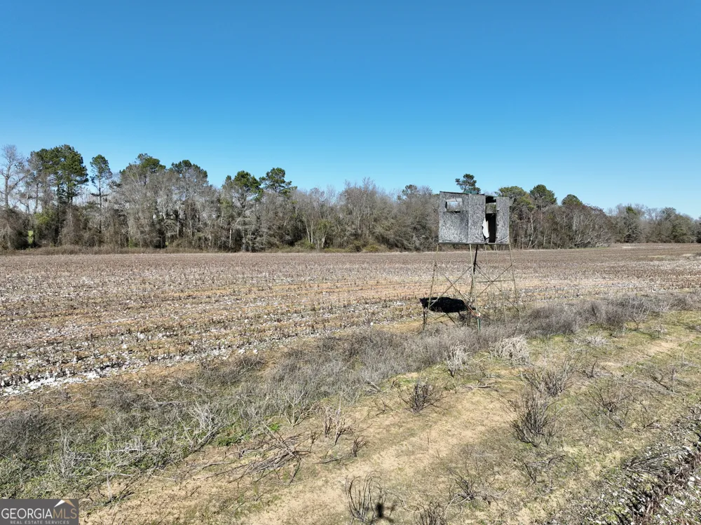 0 Jenkins Farm RD Byromville, GA 31007
