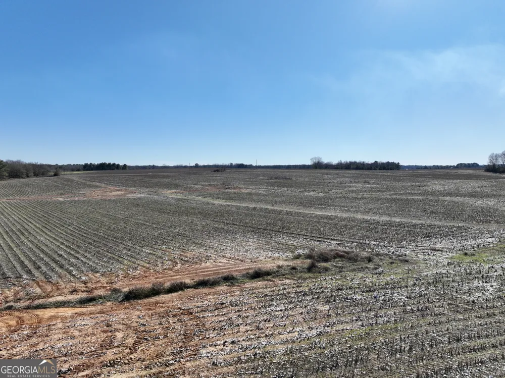 0 Jenkins Farm RD Byromville, GA 31007
