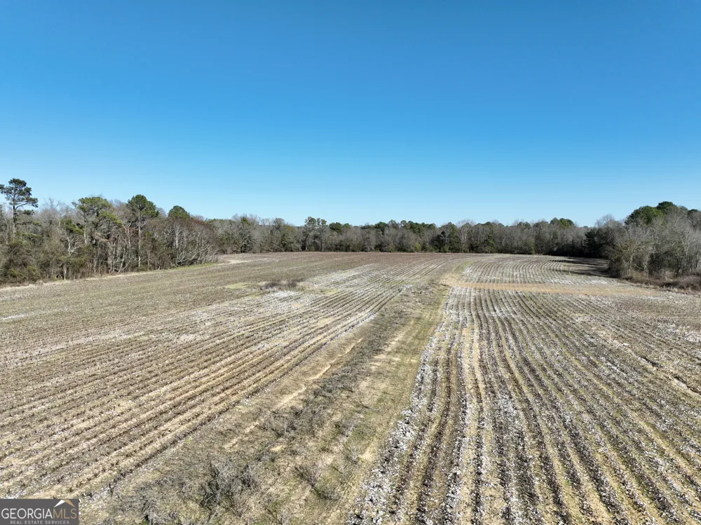 0 Jenkins Farm RD Byromville, GA 31007
