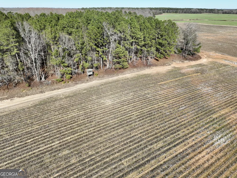 0 Jenkins Farm RD Byromville, GA 31007