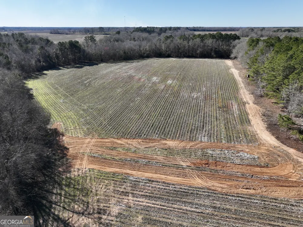 0 Jenkins Farm RD Byromville, GA 31007