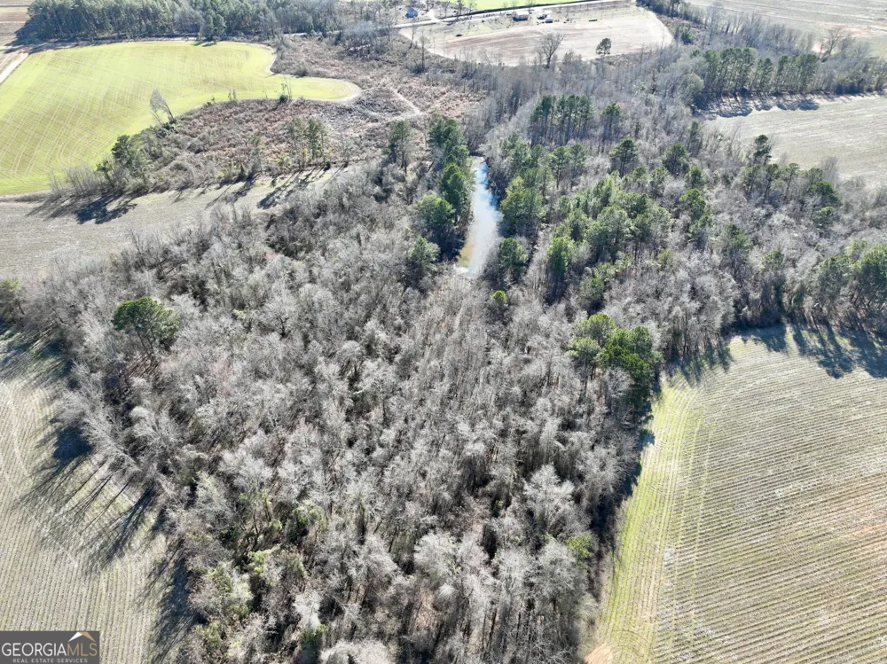 0 Jenkins Farm RD Byromville, GA 31007