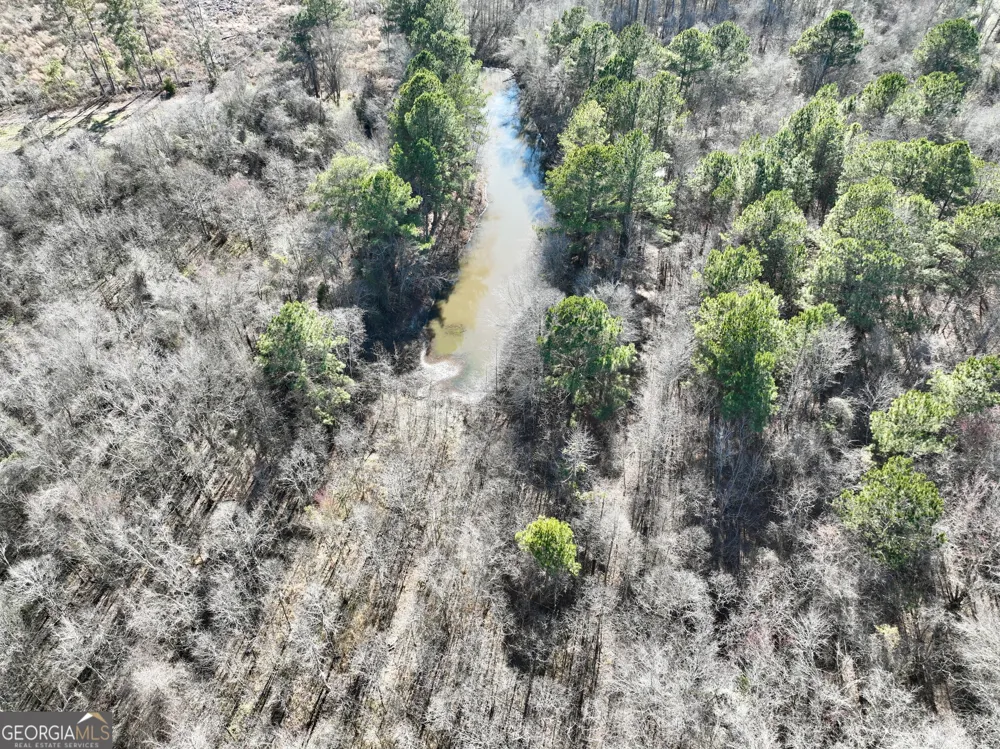 0 Jenkins Farm RD Byromville, GA 31007