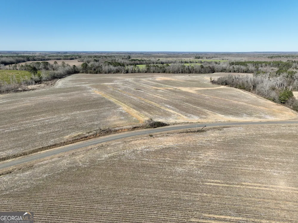 0 Jenkins Farm RD Byromville, GA 31007