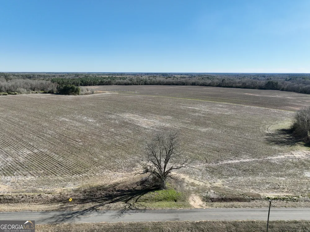 0 Jenkins Farm RD Byromville, GA 31007