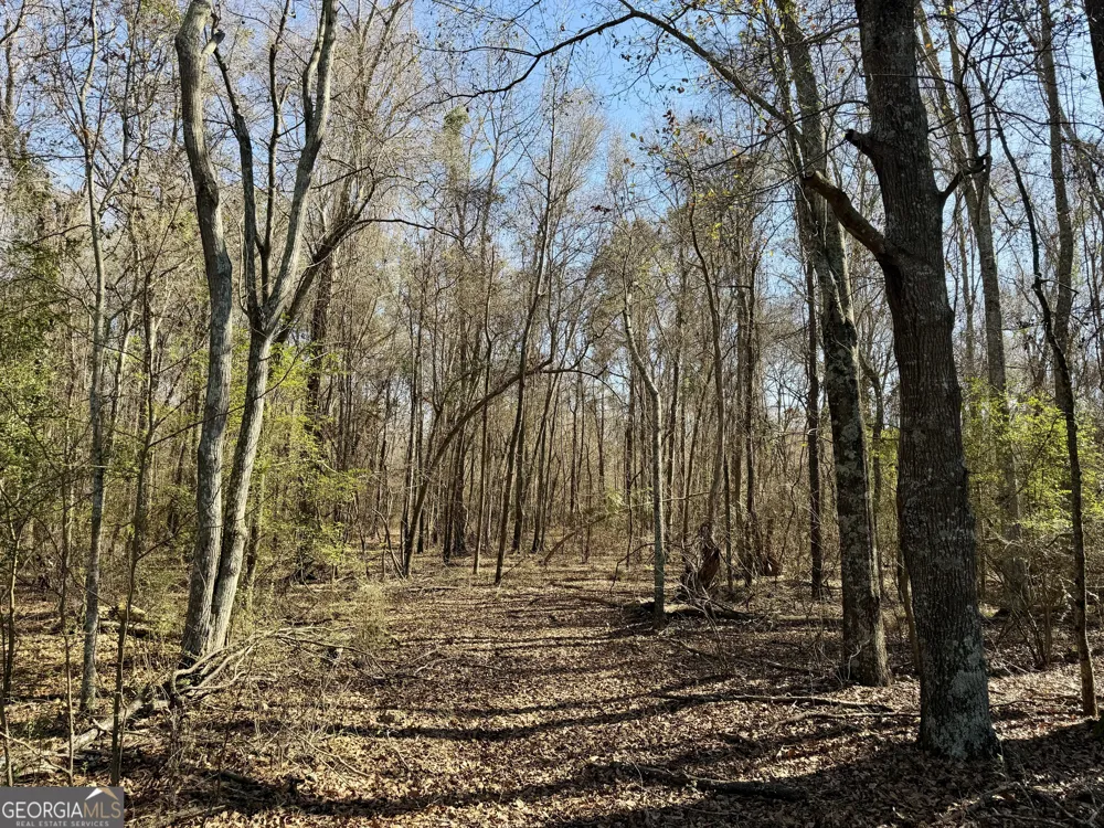 0 Jenkins Farm RD Byromville, GA 31007