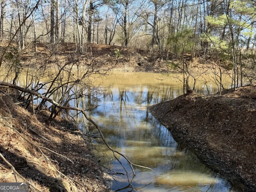 0 Jenkins Farm RD Byromville, GA 31007