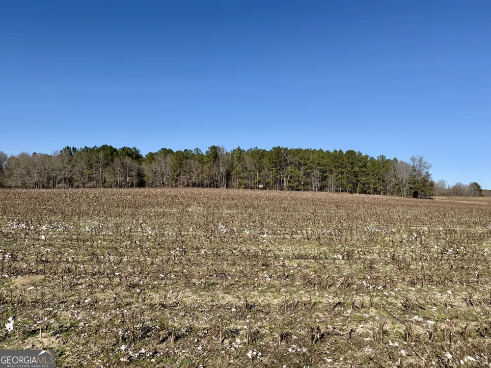 0 Jenkins Farm RD Byromville, GA 31007