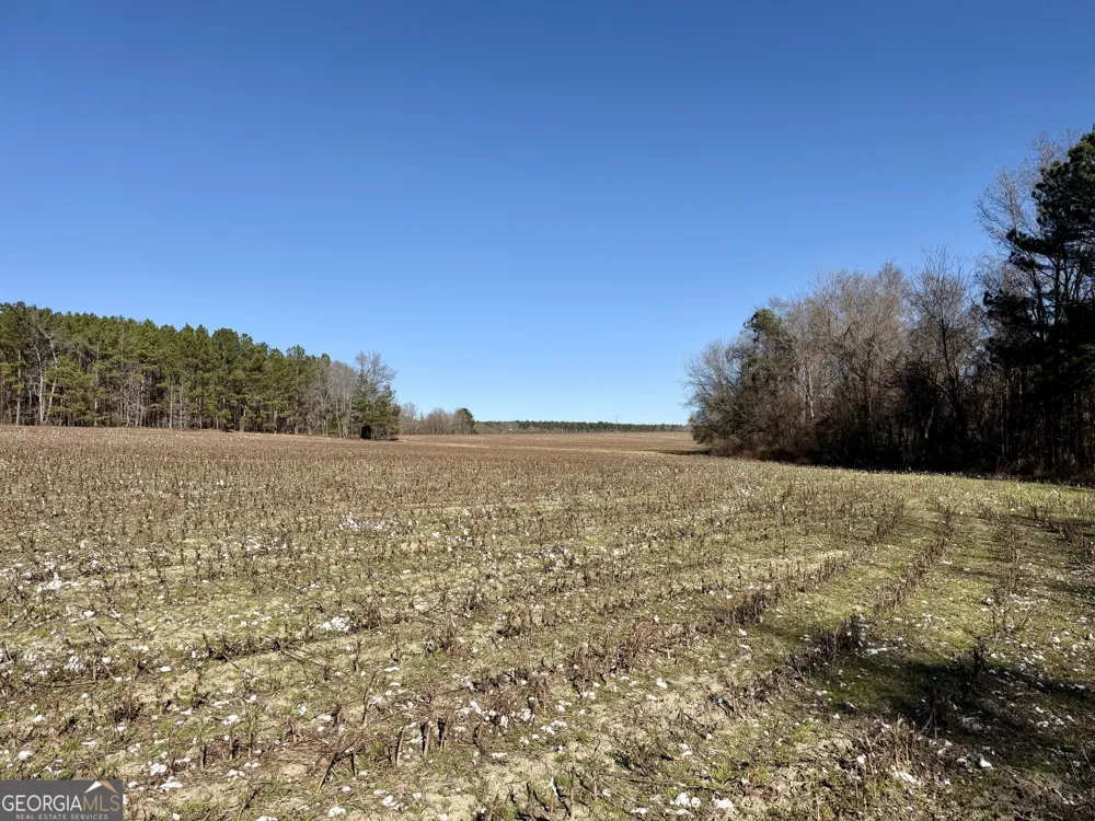 0 Jenkins Farm RD Byromville, GA 31007