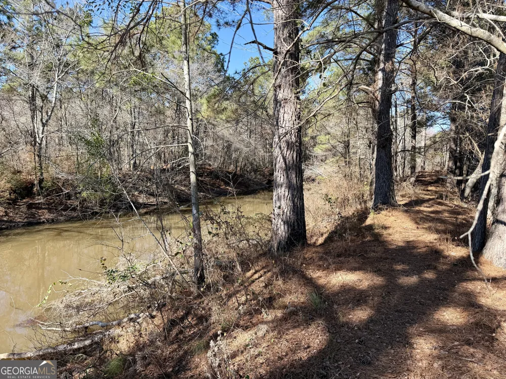 0 Jenkins Farm RD Byromville, GA 31007