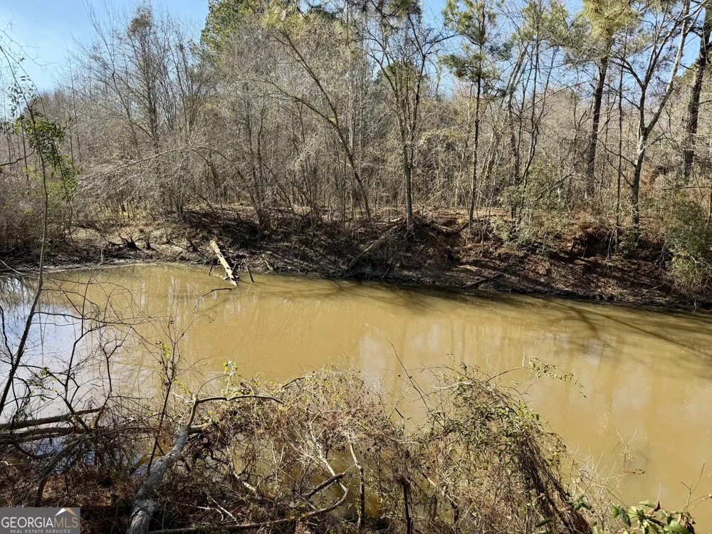 0 Jenkins Farm RD Byromville, GA 31007