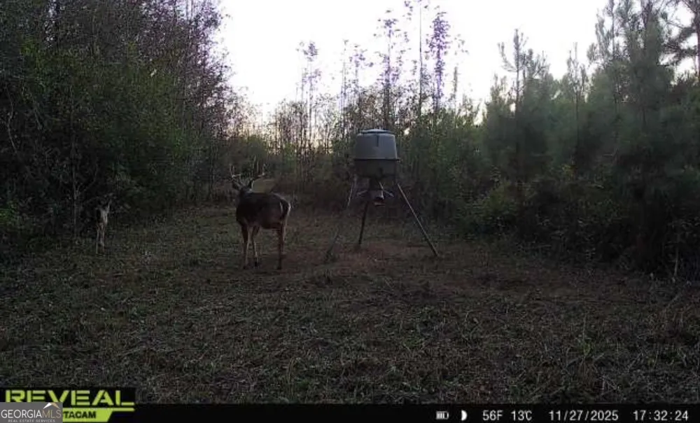 0 Jenkins Farm RD Byromville, GA 31007