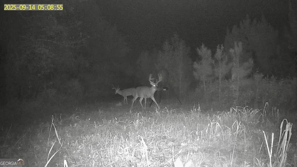 0 Jenkins Farm RD Byromville, GA 31007