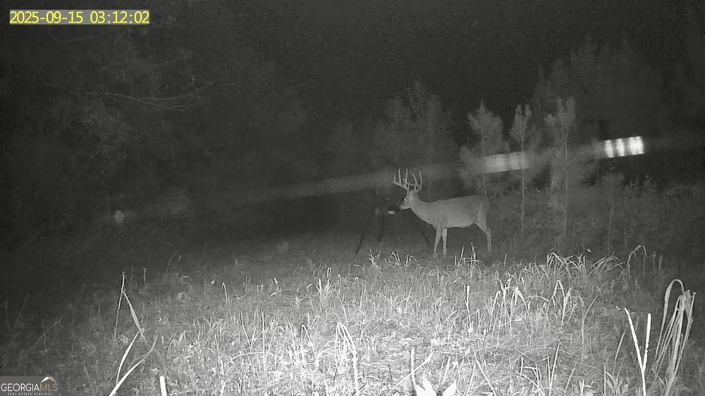 0 Jenkins Farm RD Byromville, GA 31007
