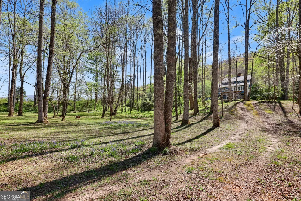 1067 O V Justus RD Rabun Gap, GA 30568
