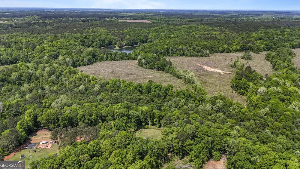 54 Meadow LN Hawkinsville, GA 31036