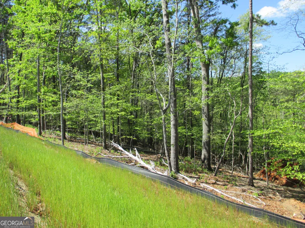 0 Morrison Moore PKWY E Dahlonega, GA 30533