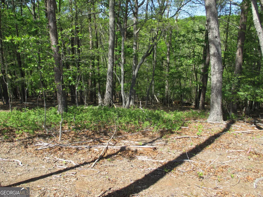 0 Morrison Moore PKWY E Dahlonega, GA 30533