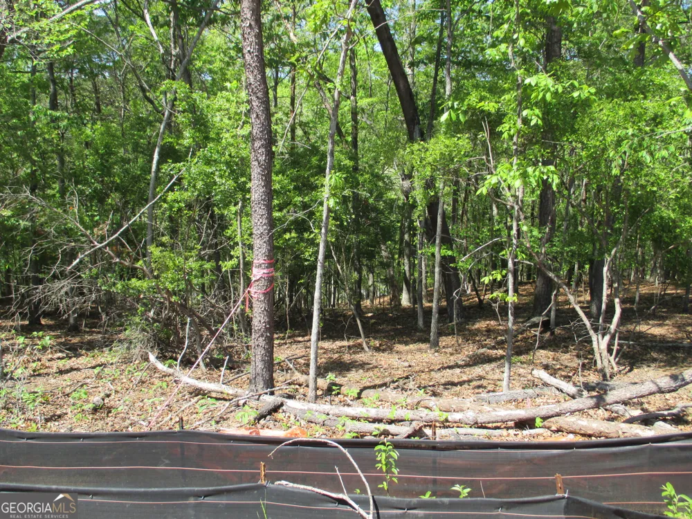 0 Morrison Moore PKWY E Dahlonega, GA 30533