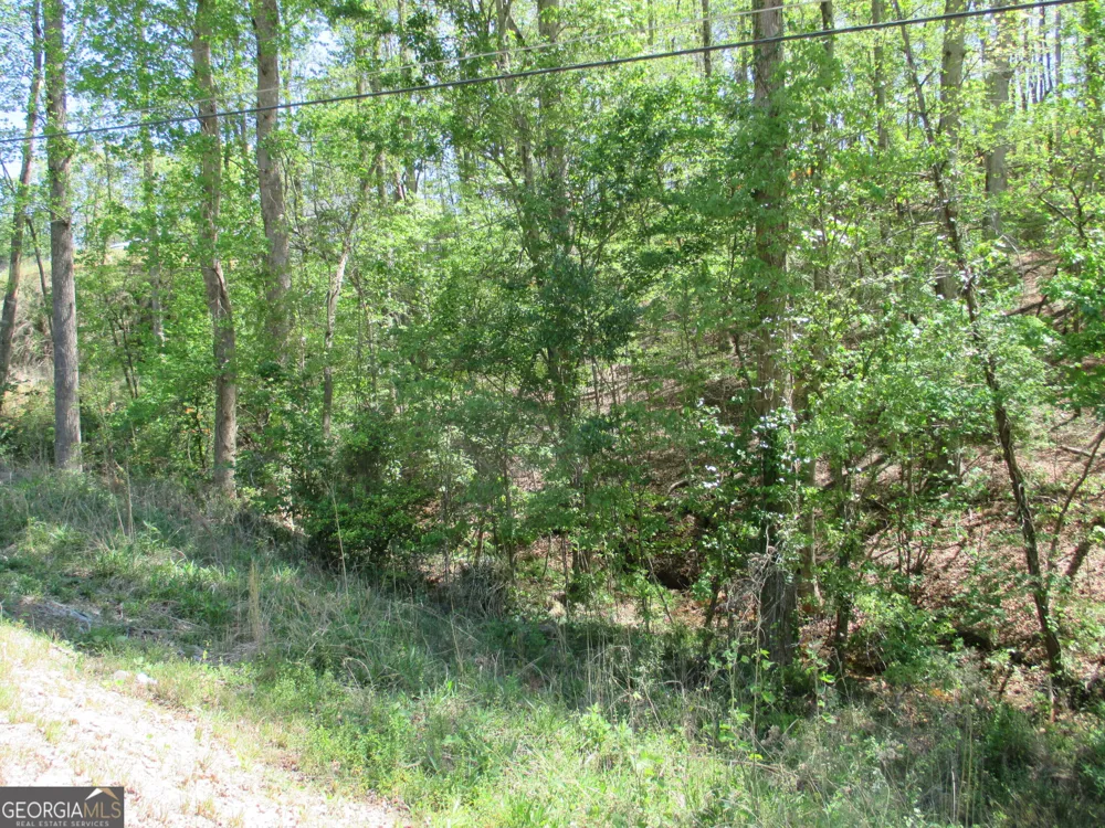 0 Morrison Moore PKWY E Dahlonega, GA 30533