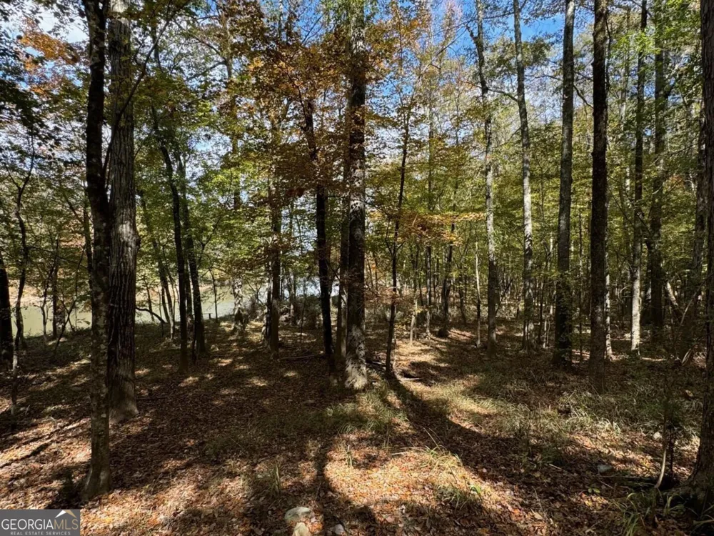 9.09 ACRE Flint River RD Molena, GA 30258