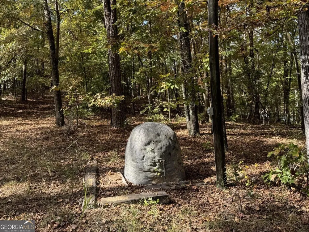 9.09 ACRE Flint River RD Molena, GA 30258