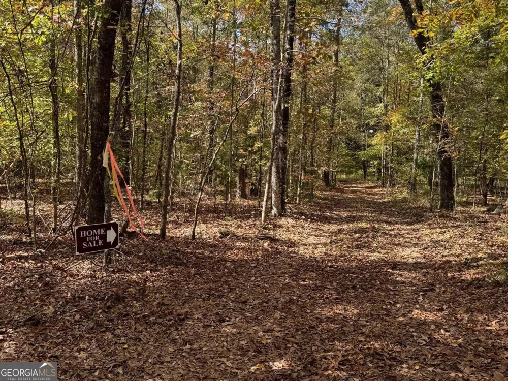 9.09 ACRE Flint River RD Molena, GA 30258