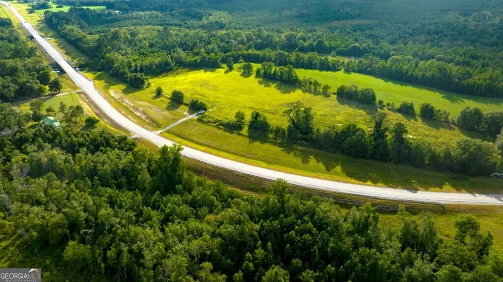 0 HWY 319-441 Jacksonville, GA 31544
