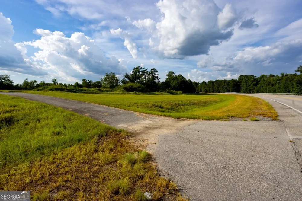0 HWY 319-441 Jacksonville, GA 31544
