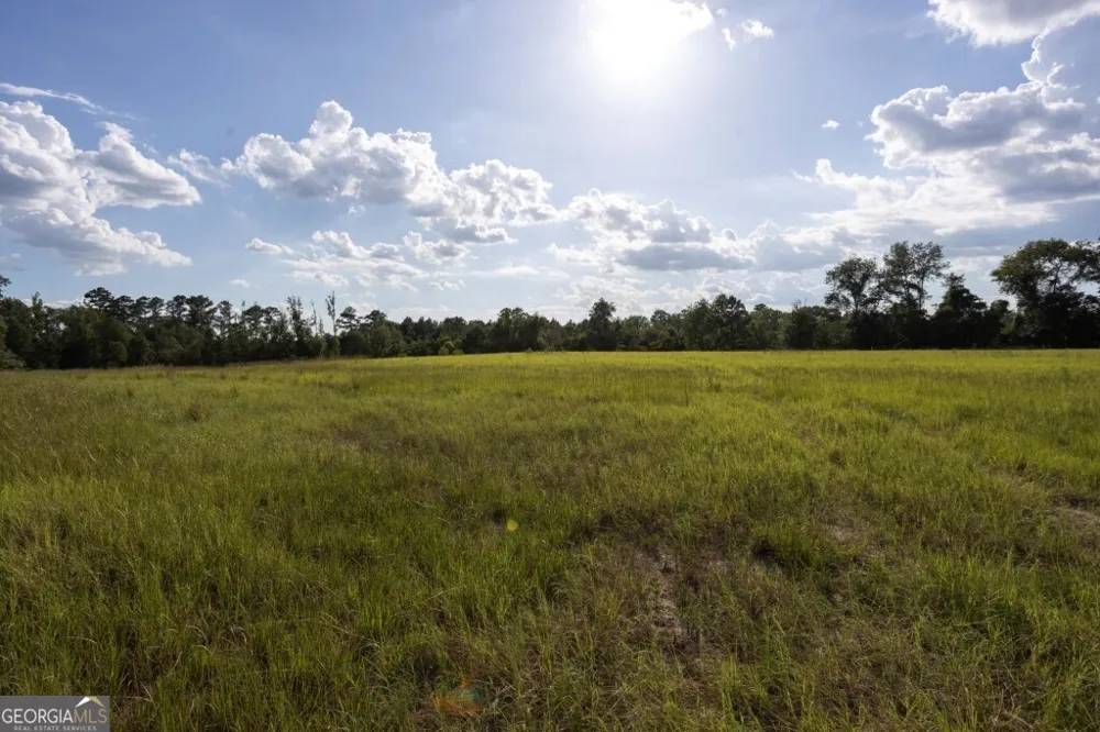 0 HWY 319-441 Jacksonville, GA 31544