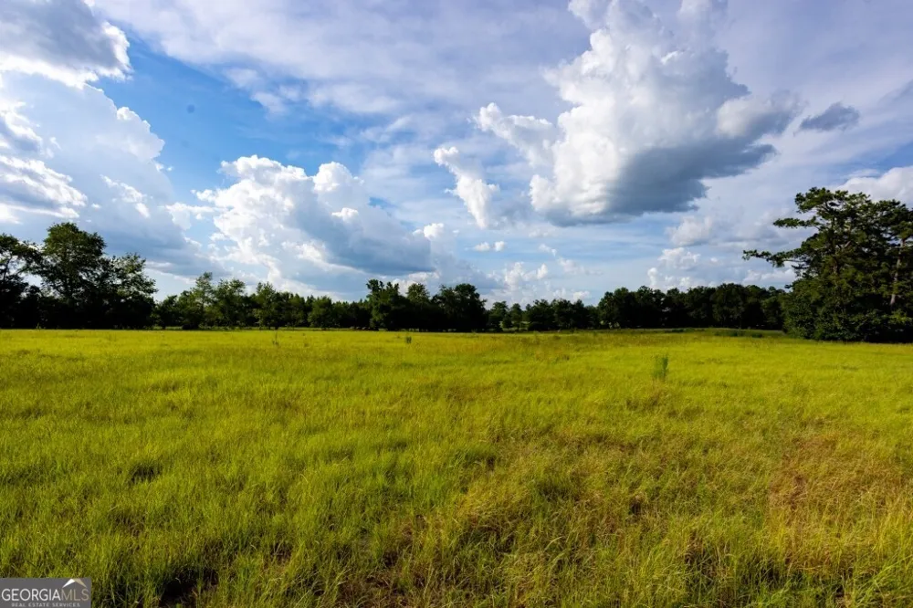 0 HWY 319-441 Jacksonville, GA 31544