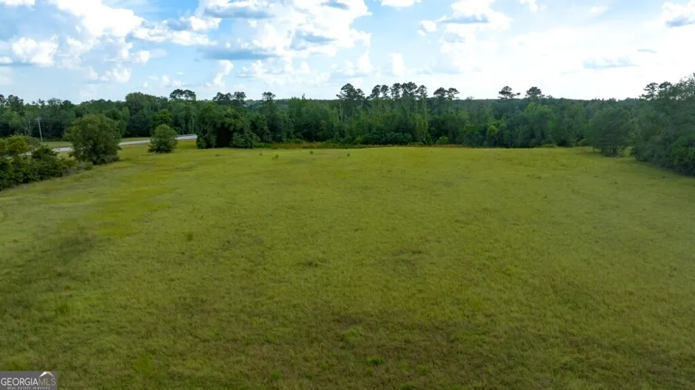 0 HWY 319-441 Jacksonville, GA 31544