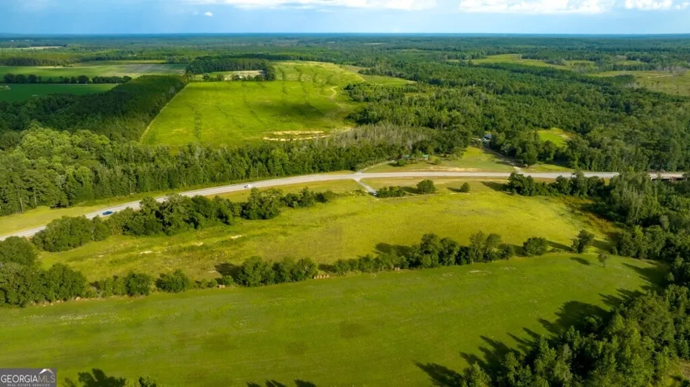 0 HWY 319-441 Jacksonville, GA 31544