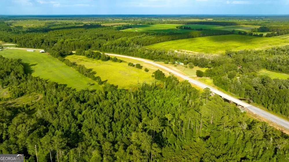 0 HWY 319-441 Jacksonville, GA 31544