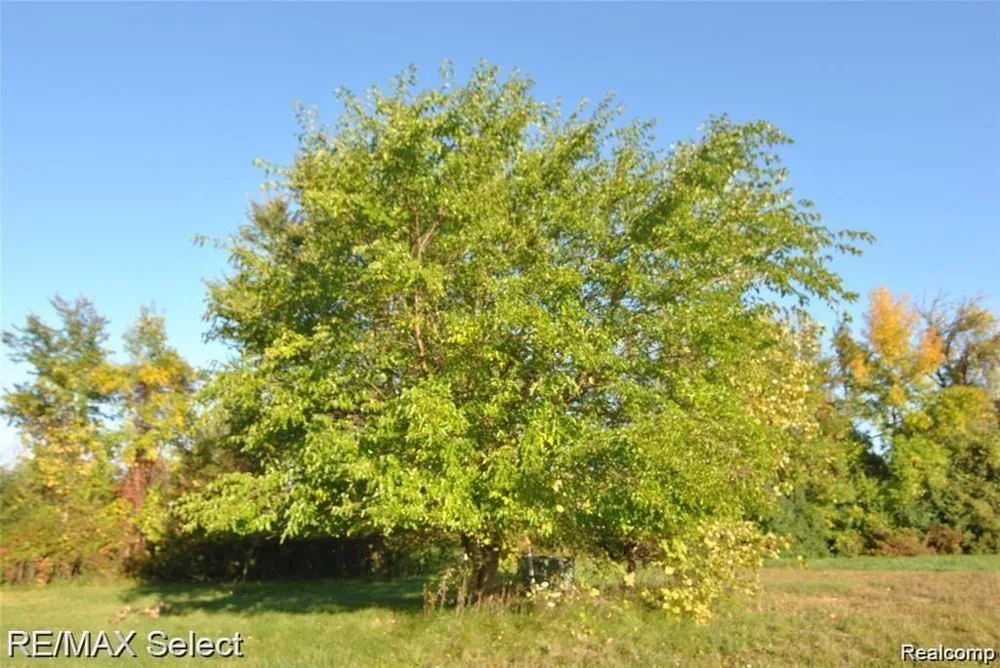 6483 BAY Kochville Township, MI 48604