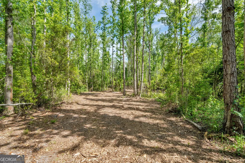 0 Twin Oaks RD Ray City, GA 31645