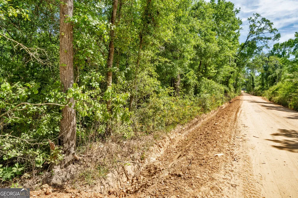 0 Twin Oaks RD Ray City, GA 31645