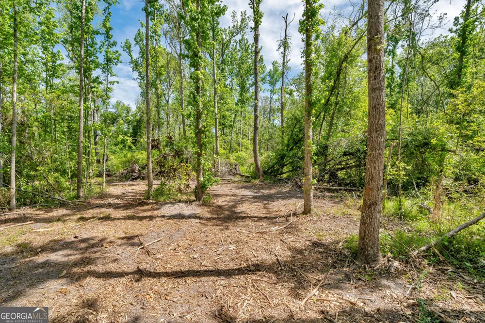 0 Twin Oaks RD Ray City, GA 31645
