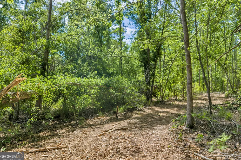 0 Twin Oaks RD Ray City, GA 31645