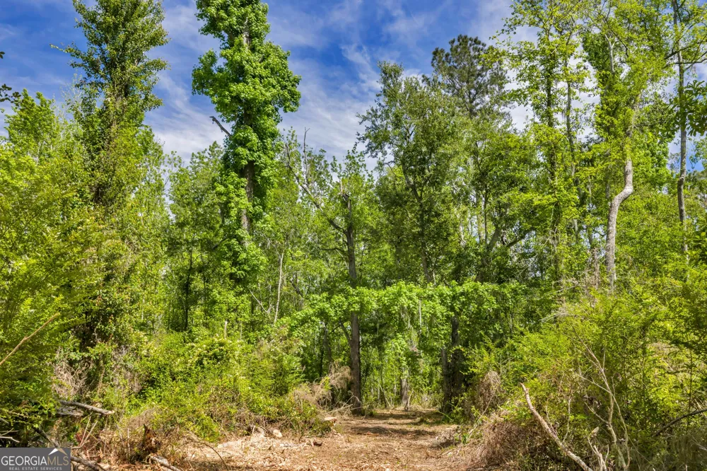 0 Twin Oaks RD Ray City, GA 31645