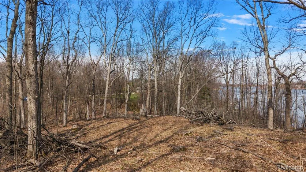10515 Horton Road Atlas Township, MI 48438
