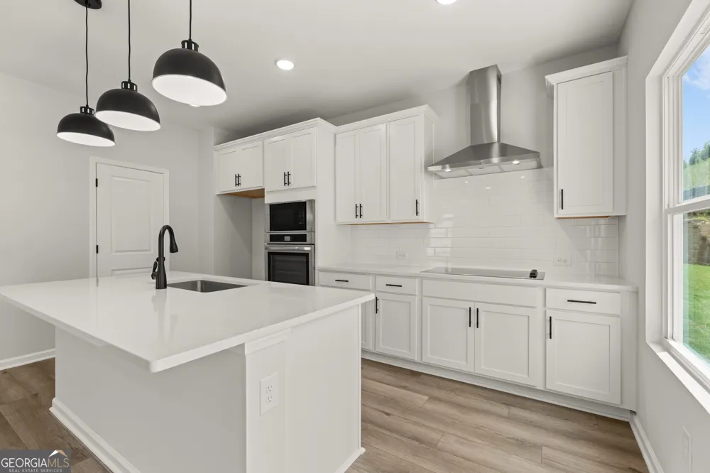 232 Black Walnut WAY Canton, GA 30114