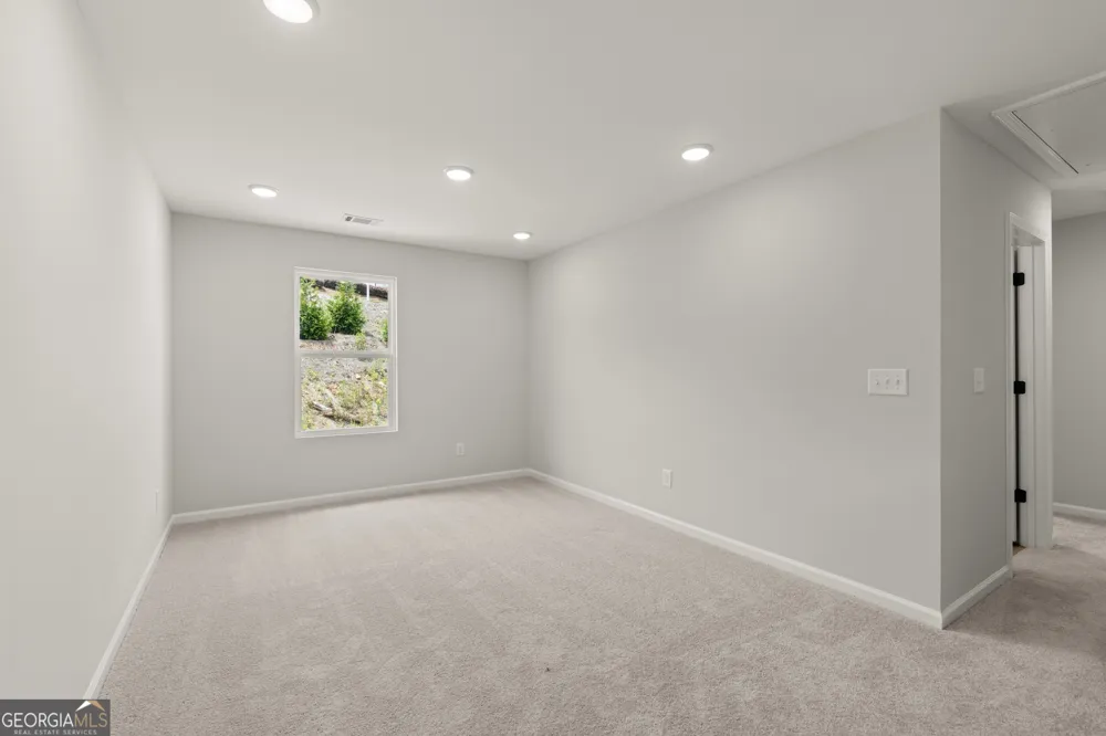 232 Black Walnut WAY Canton, GA 30114