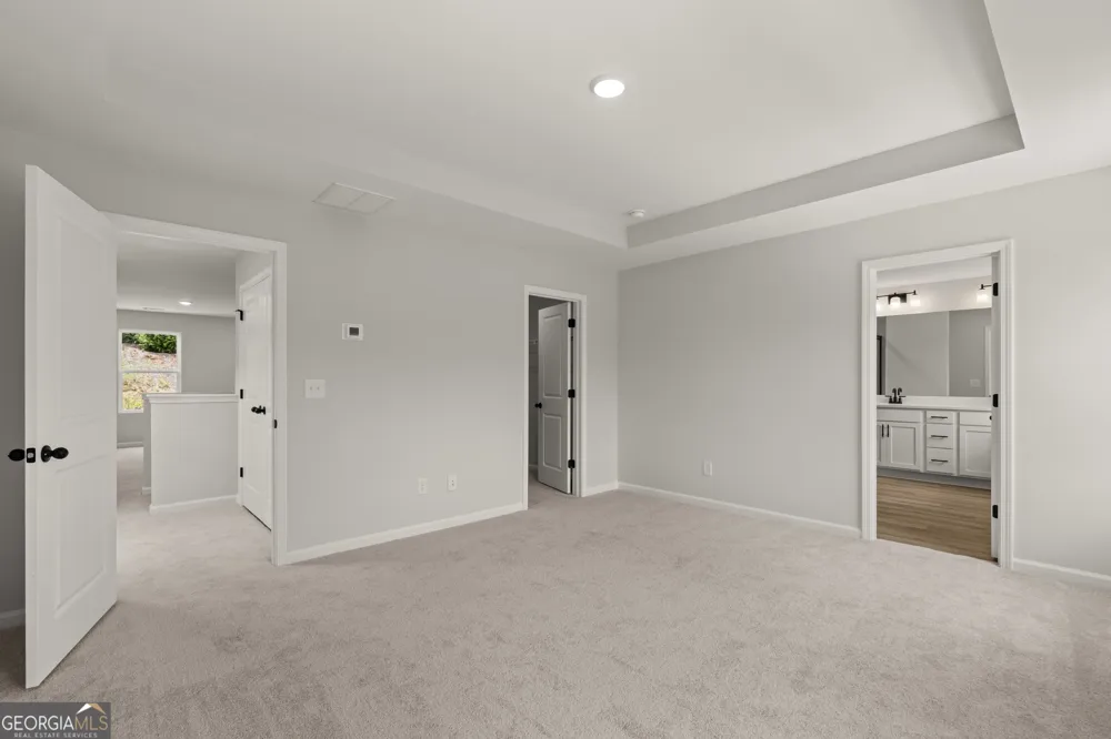 232 Black Walnut WAY Canton, GA 30114