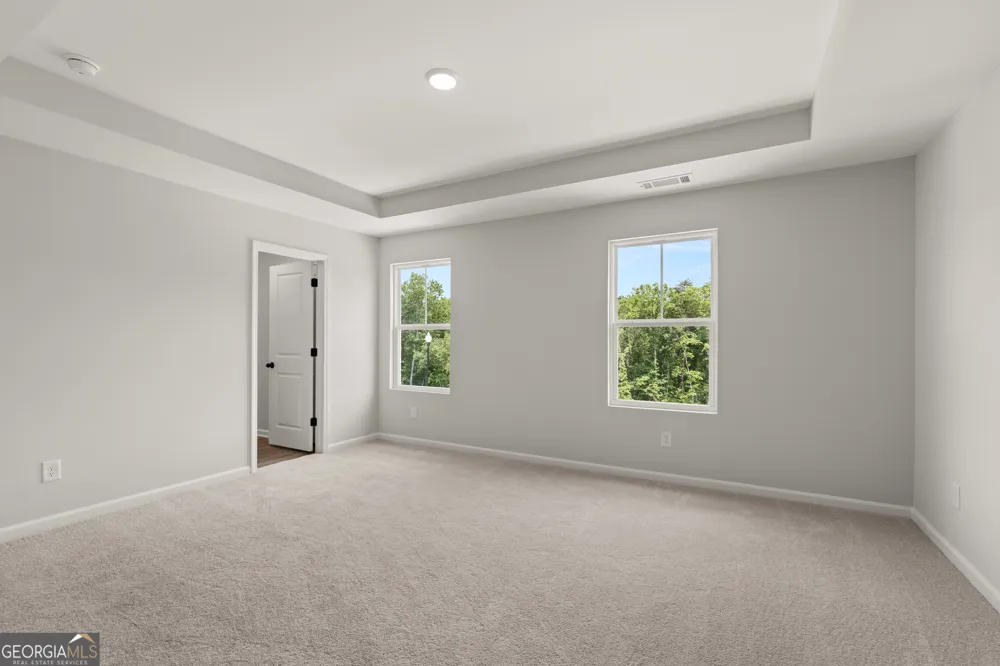 232 Black Walnut WAY Canton, GA 30114