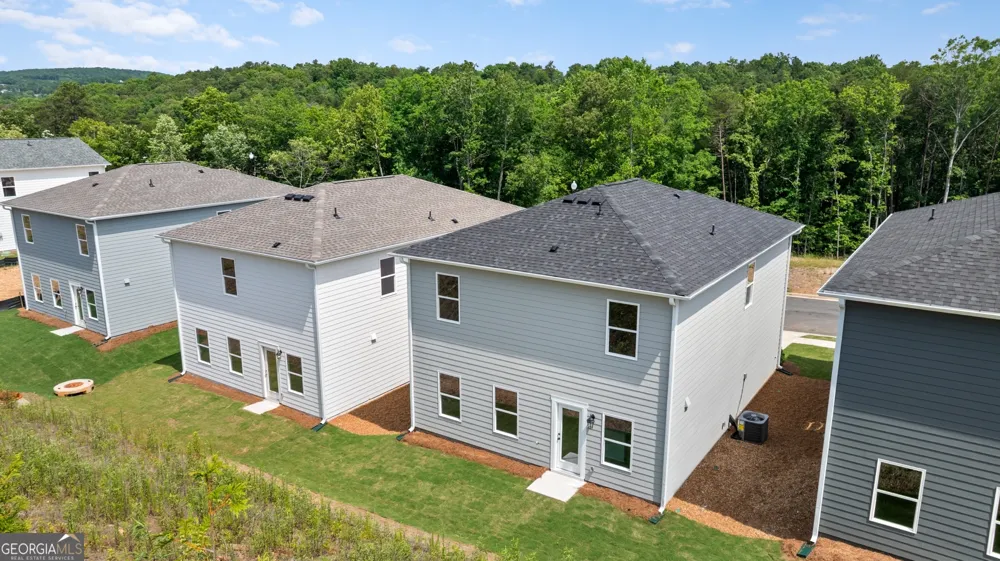 232 Black Walnut WAY Canton, GA 30114